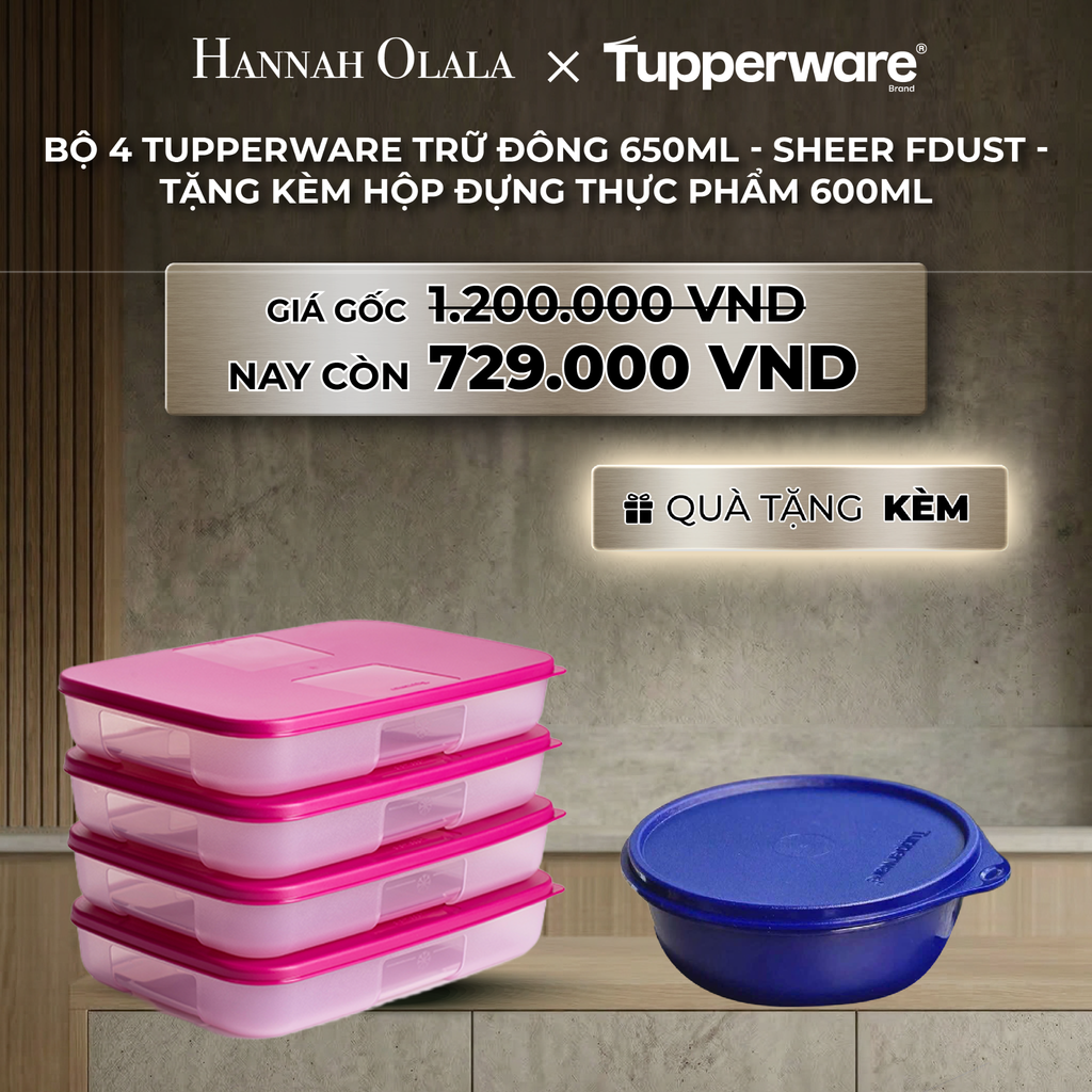  B38_DEAL 29 : BỘ 4 TUPPERWARE TRỮ ĐÔNG 650ML - SHEER FDUST - TẶNG KÈM HỘP ĐỰNG THỰC PHẨM 600ML 