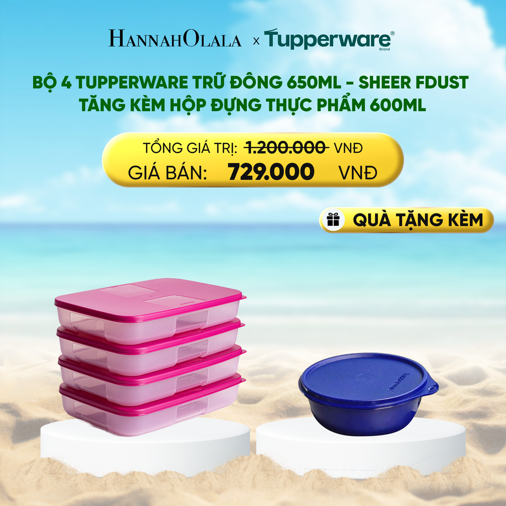  DEAL 29 : BỘ 4 TUPPERWARE TRỮ ĐÔNG 650ML - SHEER FDUST - TẶNG KÈM HỘP ĐỰNG THỰC PHẨM 600ML 