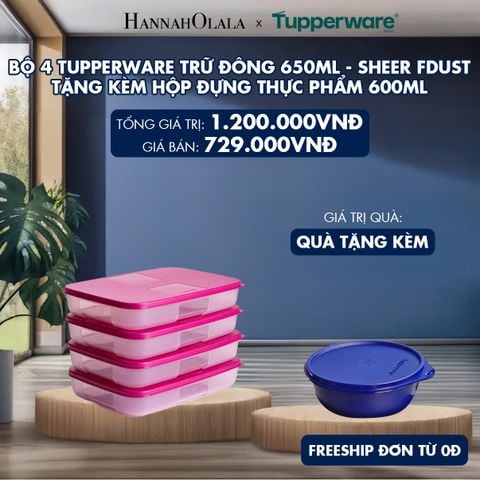  BỘ 4 TUPPERWARE TRỮ ĐÔNG 650ML - SHEER FDUST - TẶNG KÈM HỘP ĐỰNG THỰC PHẨM 600ML 