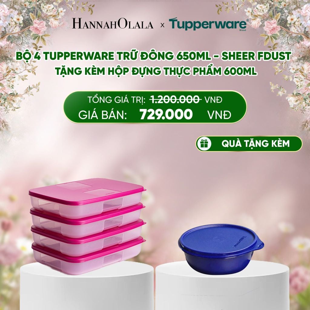 E228_DEAL 34 : BỘ 4 TUPPERWARE TRỮ ĐÔNG 650ML - SHEER FDUST - TẶNG KÈM HỘP ĐỰNG THỰC PHẨM 600ML 