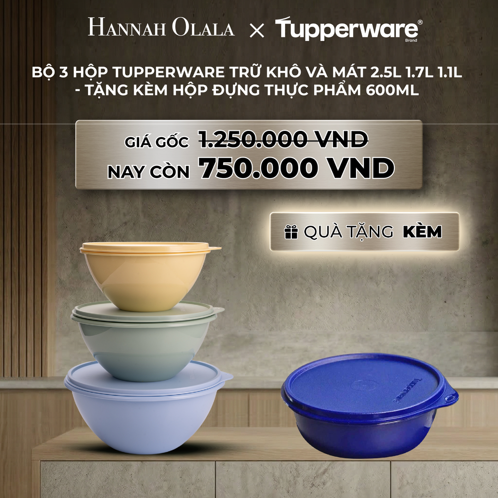  B33_DEAL 27 : BỘ 3 HỘP TUPPERWARE TRỮ KHÔ VÀ MÁT 2.5L 1.7L 1.1L - TẶNG KÈM HỘP ĐỰNG THỰC PHẨM 600ML 