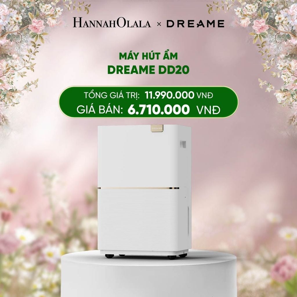  E1205_DEAL 20: MÁY HÚT ẨM DREAME DD20 