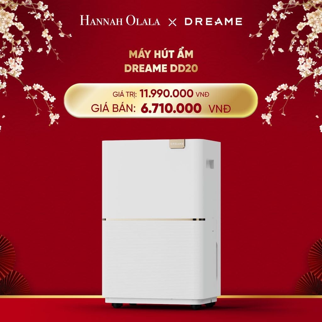  DEAL 20: MÁY HÚT ẨM DREAME DD20 