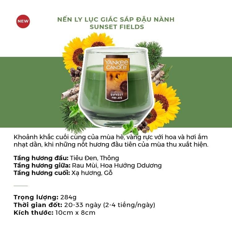  4 NẾN LY LỤC GIÁC SÁP ĐẬU NÀNH YANKEE CANDLE DEAL 7: - A2218 