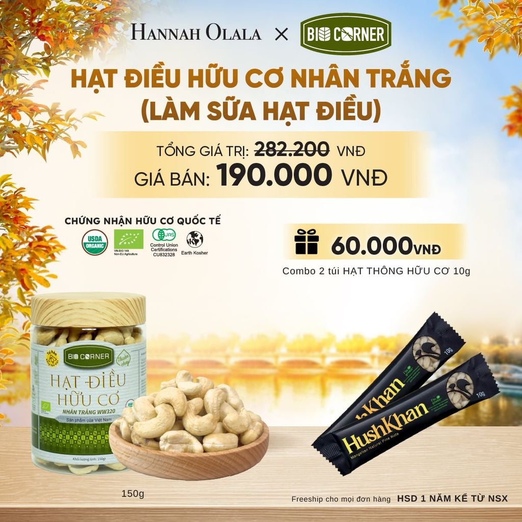  HẠT ĐIỀU NHÂN TRẮNG (LÀM SỮA HẠT ĐIỀU) TẶNG COMBO 2 TÚI HẠT THÔNG HỮU CƠ 10G - E1700 