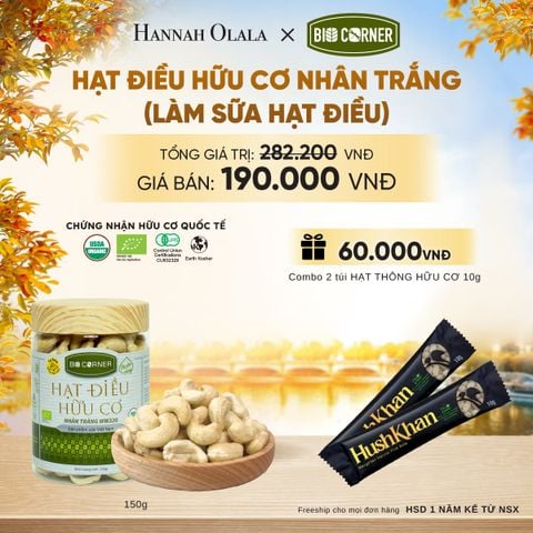  HẠT ĐIỀU NHÂN TRẮNG (LÀM SỮA HẠT ĐIỀU) TẶNG COMBO 2 TÚI HẠT THÔNG HỮU CƠ 10G - E1700 