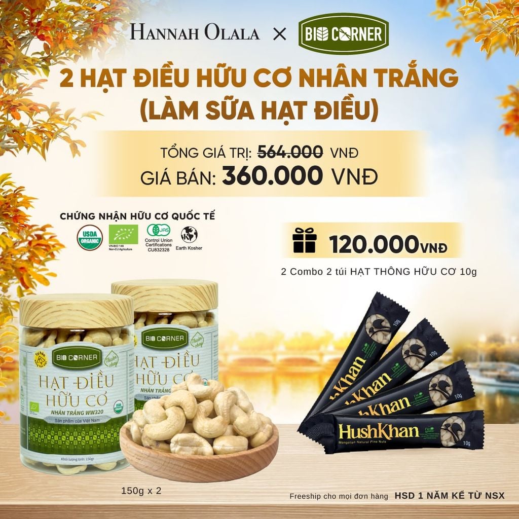  COMBO 2 HẠT ĐIỀU NHÂN TRẮNG (LÀM SỮA HẠT ĐIỀU) TẶNG 2 COMBO 2 TÚI HẠT THÔNG HỮU CƠ 10G - E1701 