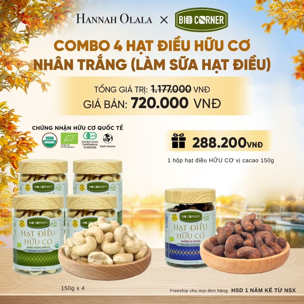  COMBO 4 HẠT ĐIỀU NHÂN TRẮNG (LÀM SỮA HẠT ĐIỀU) TẶNG 1 HỘP HẠT ĐIỀU VỊ CACAO 150G - E1702 