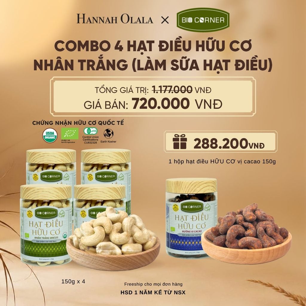  COMBO 4 HẠT ĐIỀU NHÂN TRẮNG (LÀM SỮA HẠT ĐIỀU) TẶNG 1 HỘP HẠT ĐIỀU VỊ CACAO 150G - E127 
