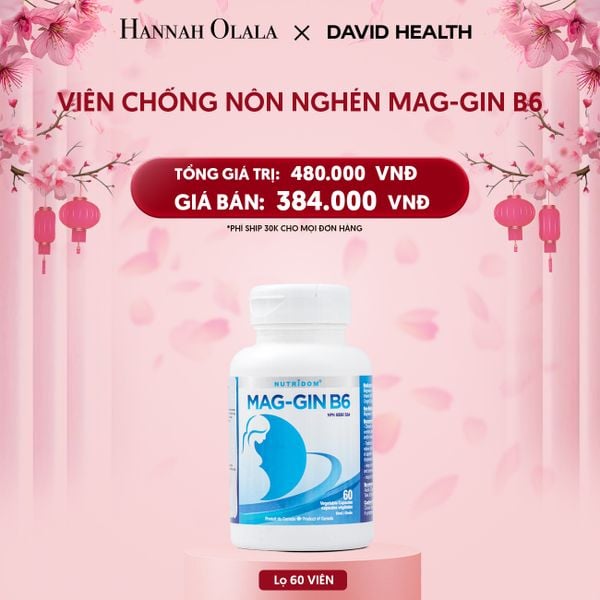  DEAL 7: VIÊN CHỖNG NÔN NGHÉN MAG-GIN B6 (60 VIÊN) 