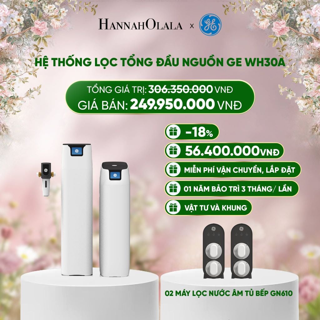  DEAL 5: HỆ THỐNG LỌC TỔNG ĐẦU NGUỒN GE WH30A 