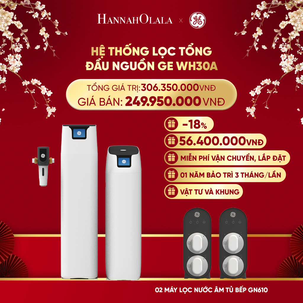  DEAL 6: HỆ THỐNG LỌC TỔNG ĐẦU NGUỒN GE WH15A 