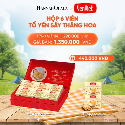  1 HỘP 6 VIÊN YẾN SẤY THĂNG HOA 