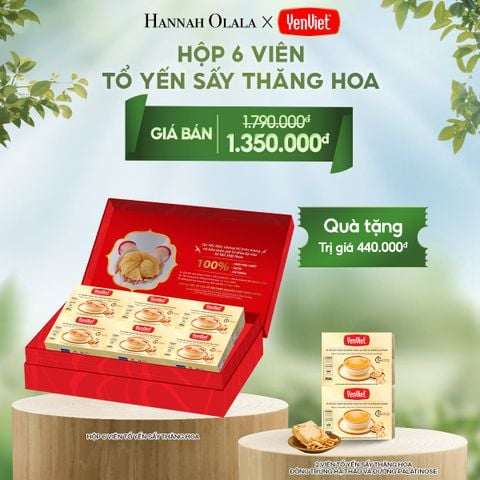  E94_DEAL 3: 1 HỘP 6 VIÊN YẾN SẤY THĂNG HOA 