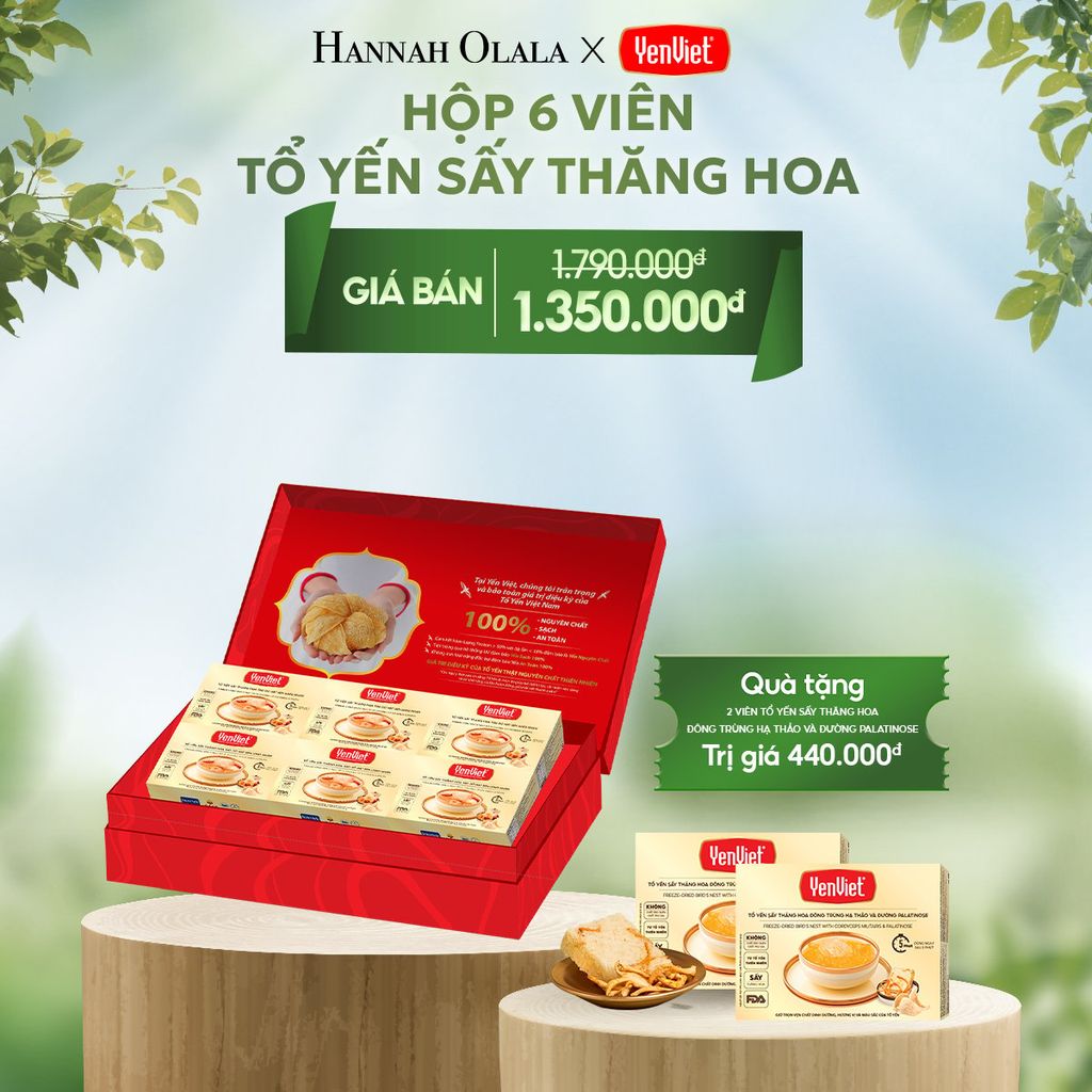  DEAL 3: 1 HỘP 6 VIÊN YẾN SẤY THĂNG HOA 