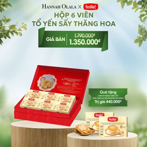  DEAL 3: 1 HỘP 6 VIÊN YẾN SẤY THĂNG HOA 