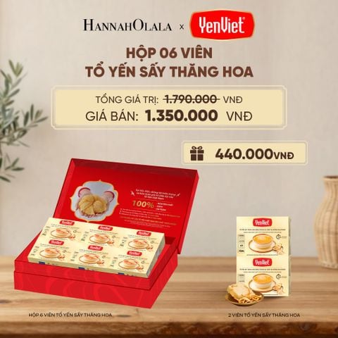  1 HỘP 6 VIÊN YẾN SẤY THĂNG HOA - DEAL 3 - D253 