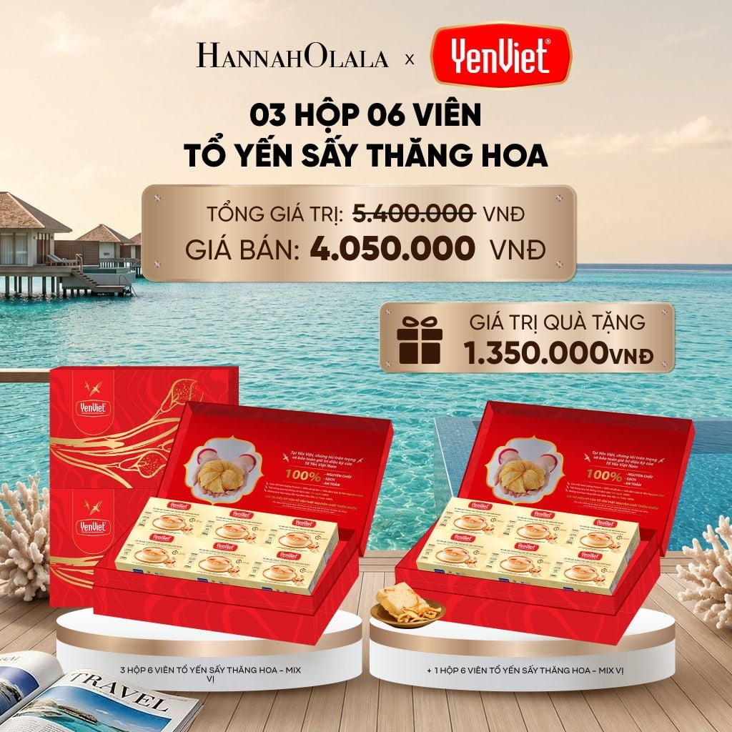  [FLASH SALE] 3 HỘP 6 VIÊN YẾN SẤY THĂNG HOA_ D581 