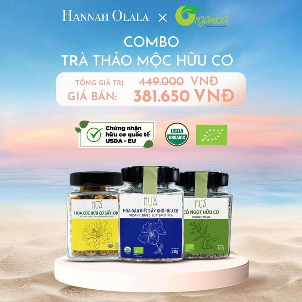  DEAL 8: COMBO TRÀ THẢO MỘC HỮU CƠ - HOA CÚC HỮU CƠ SẤY MÙA 25GR, HOA ĐẬU BIẾC HỮU CƠ SẤY MÙA 20GR, CỎ NGỌT HỮU CƠ MÙA 10GR 