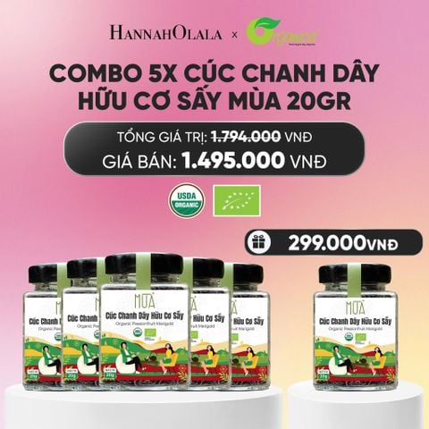  HOA CÚC CHANH DÂY SẤY MÙA 20 GR - DEAL 14_A787 