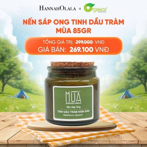  NẾN SÁP ONG TINH DẦU MÙA 85GR - DEAL 20 