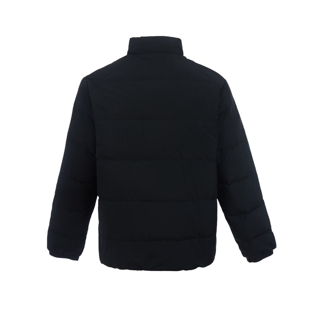 Áo lông vũ Nam AYMV151-1V