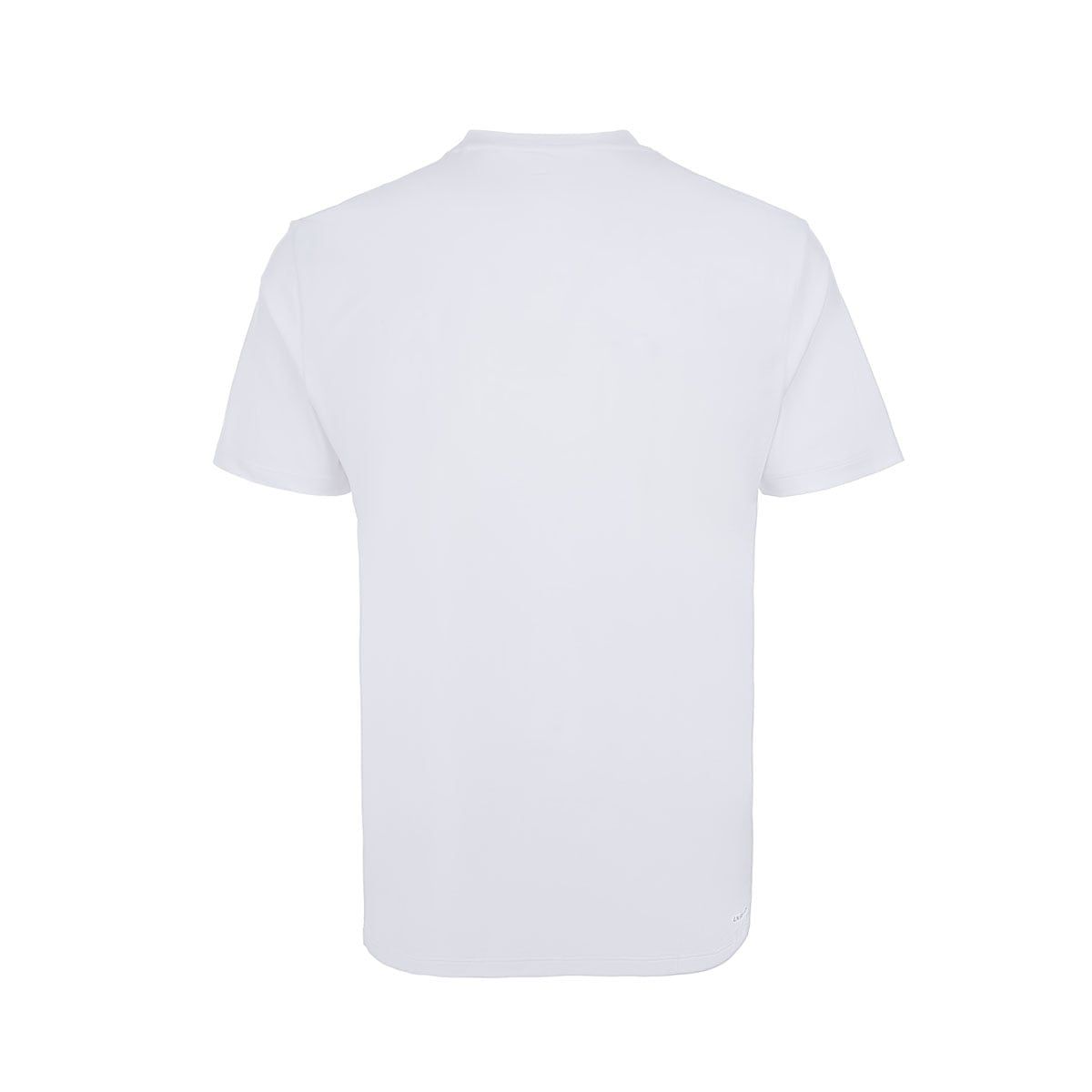 Áo T-shirt Nam AHSW109-2V