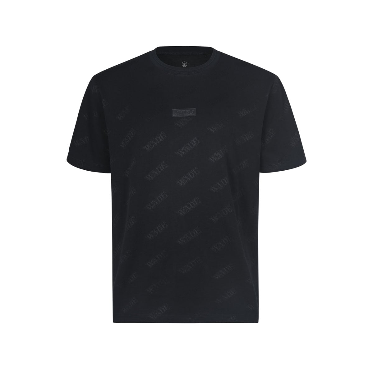  Áo T-shirt Nam AHSW231-1V 