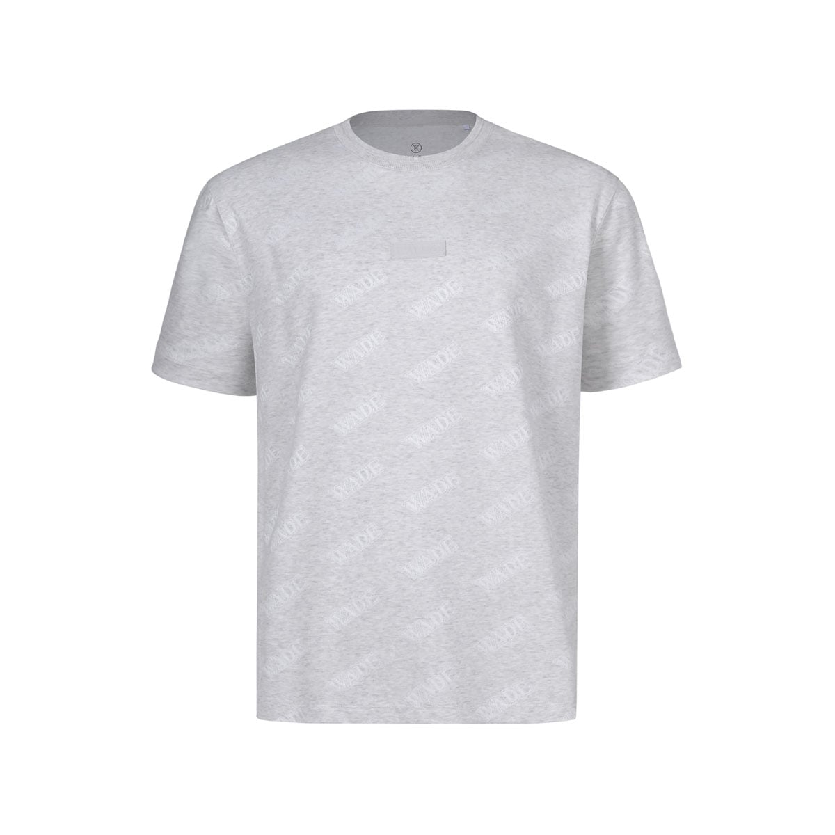  Áo T-shirt Nam AHSW231-3V 