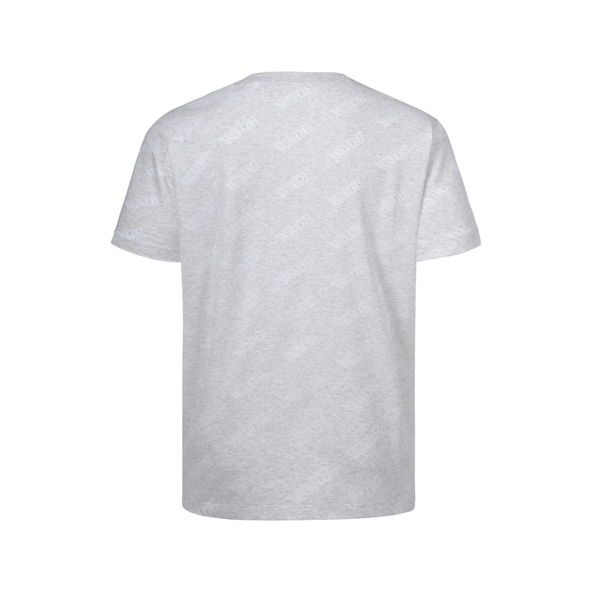  Áo T-shirt Nam AHSW231-3V 