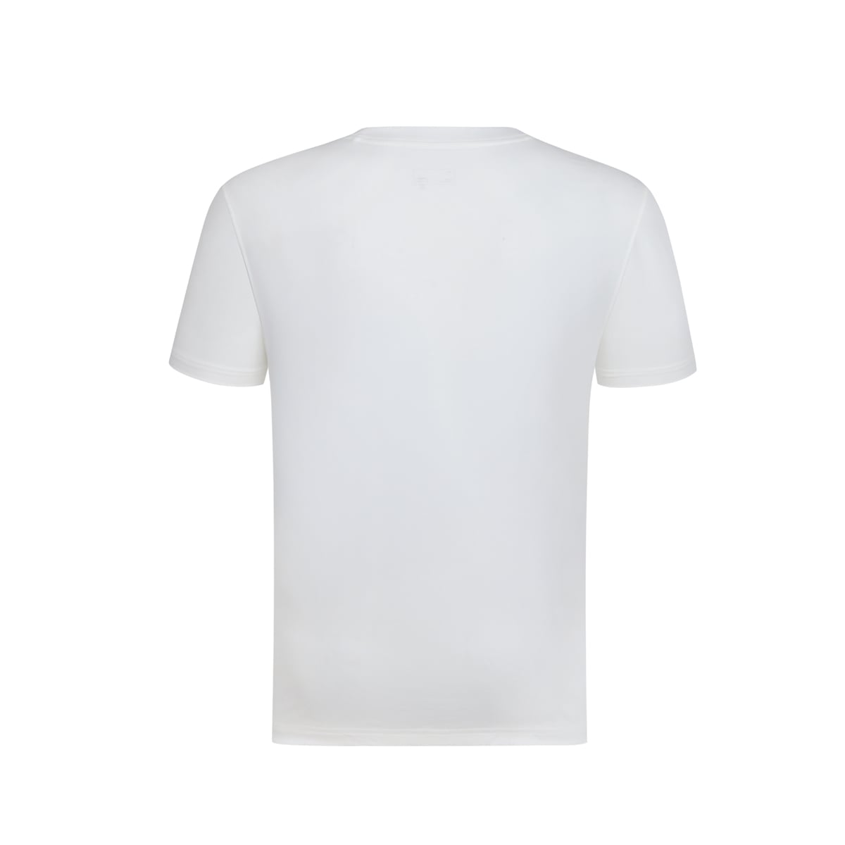  Áo T-shirt Nam AHSW277-1V 