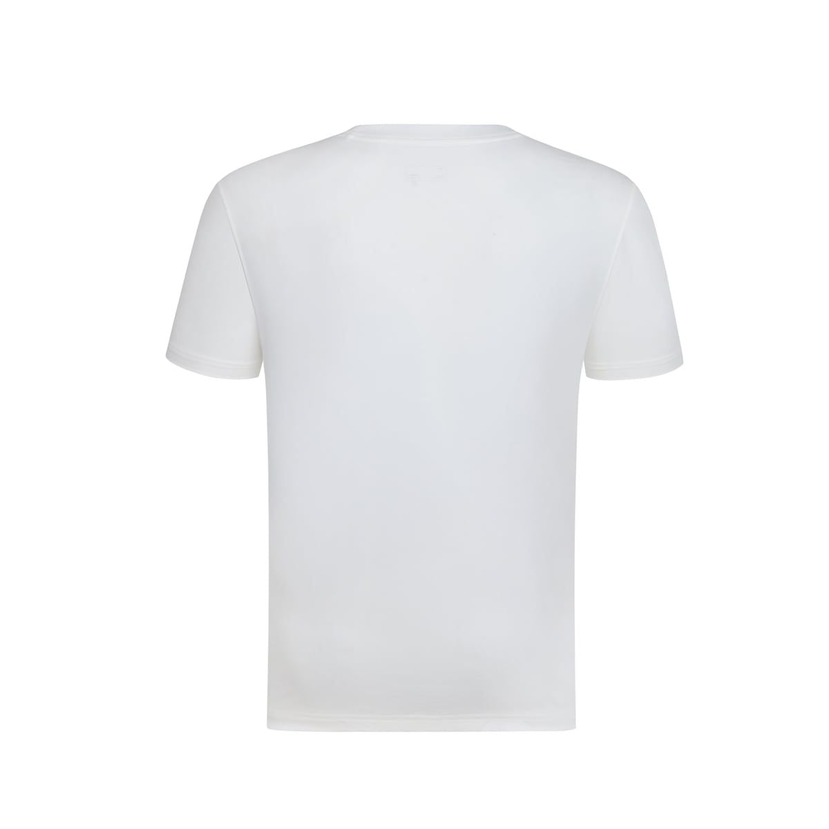 Áo T-shirt Nam AHSW277-1V