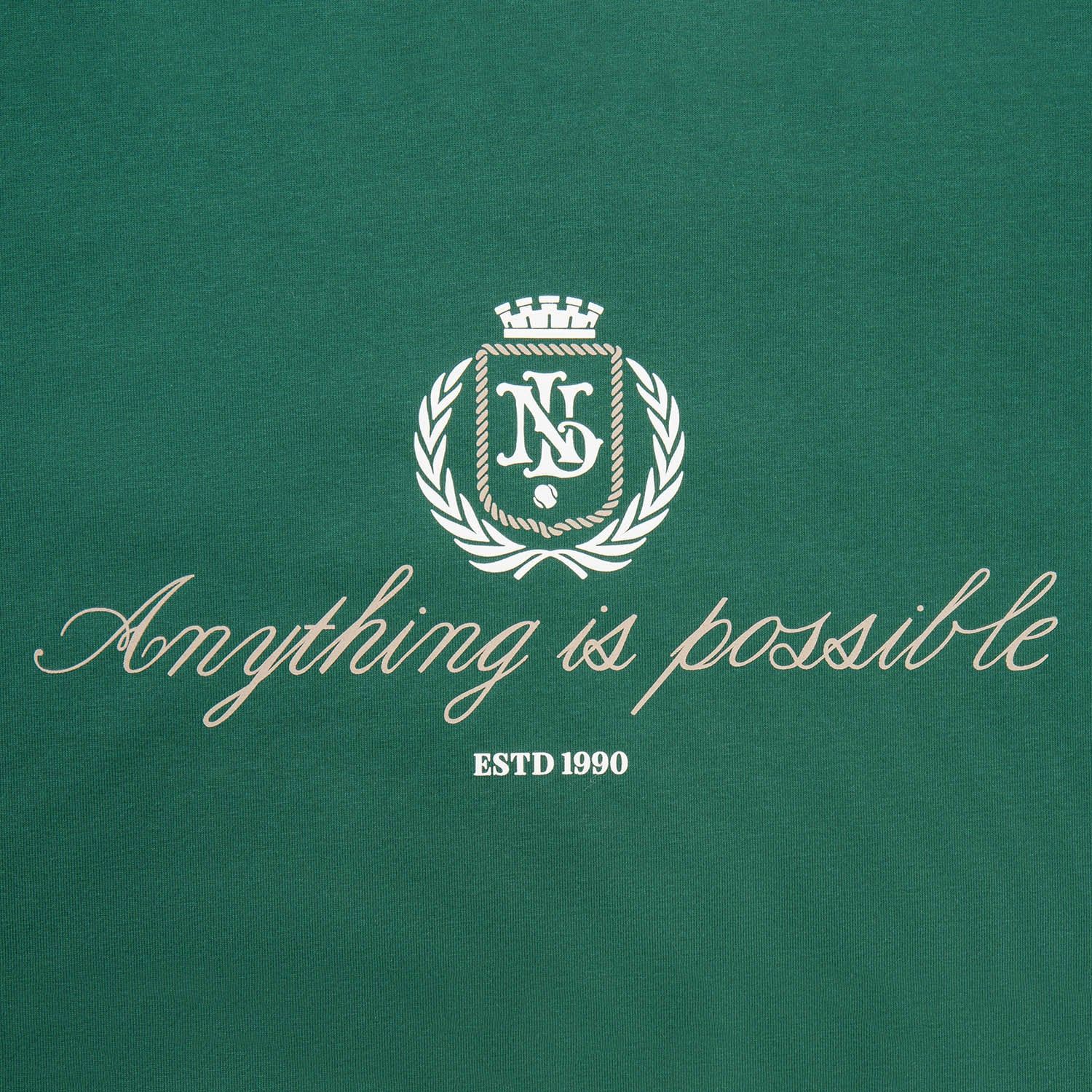 Áo T-shirt Nam AHSW379-1V