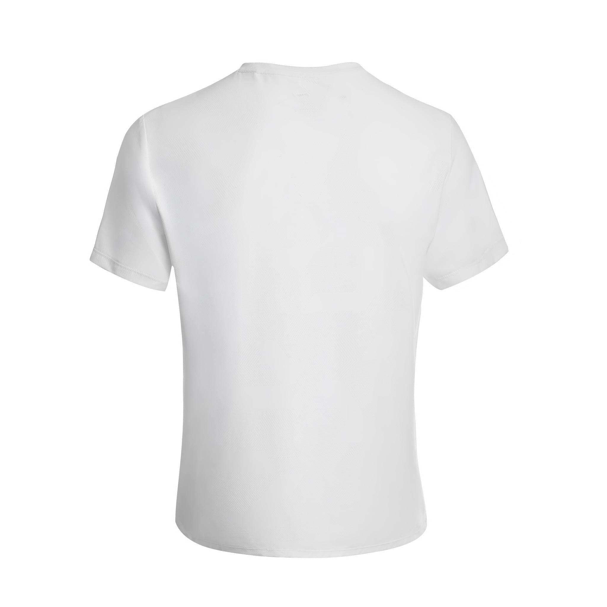 Áo T-shirt Nam ATSW165-2V