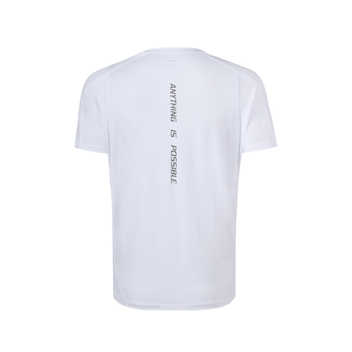  Áo T-shirt Nam ATSW479-2V 