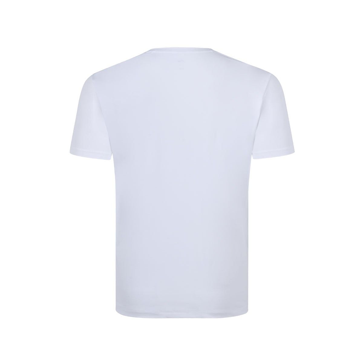 Áo T-shirt Nam ATSW927-1V