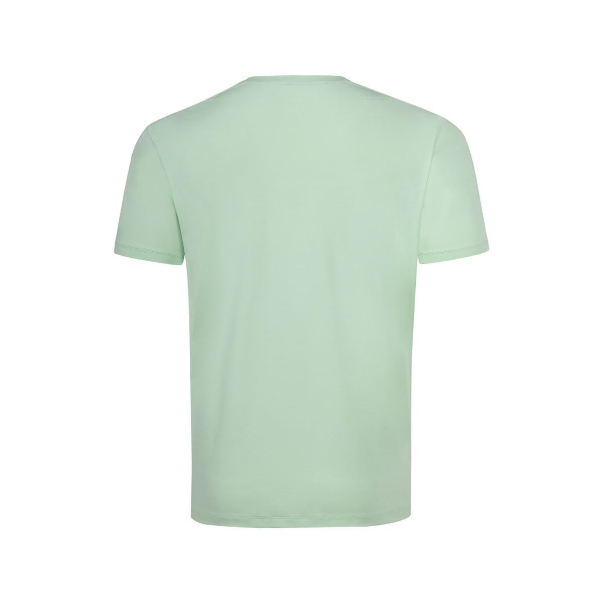 Áo T-shirt Nam ATSW927-4V