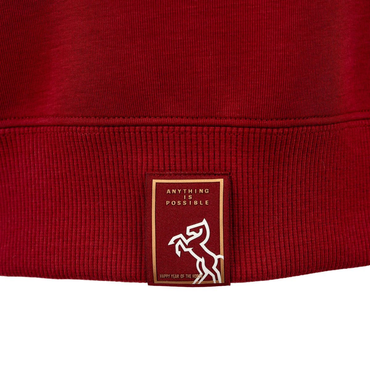 Áo nỉ có cổ không mũ Unisex AWDWA47-2V