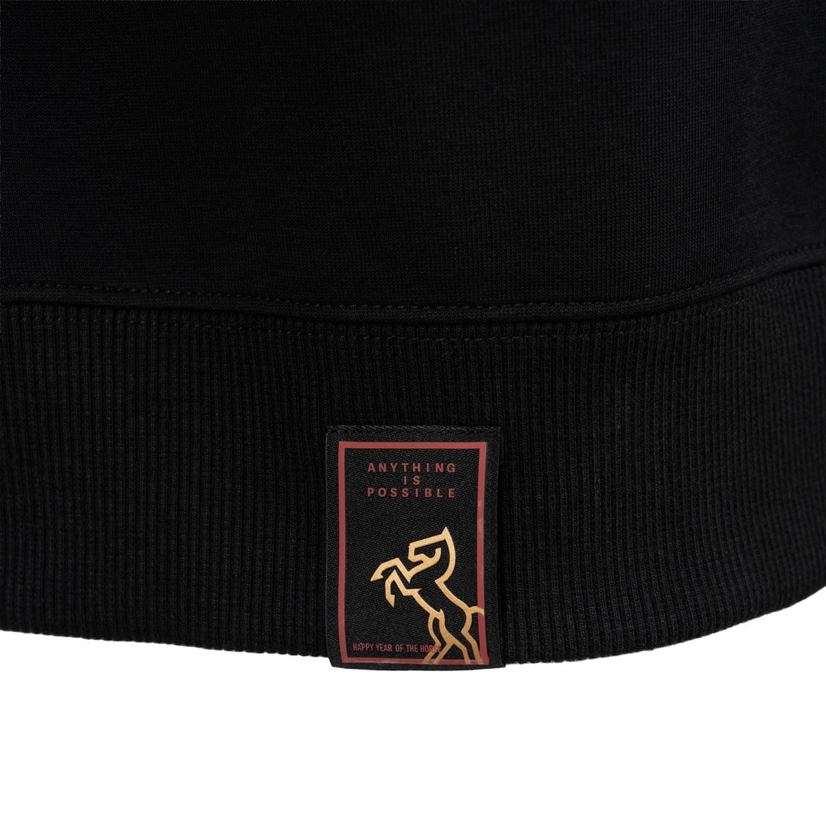 Áo nỉ có cổ không mũ Unisex AWDWA47-1V