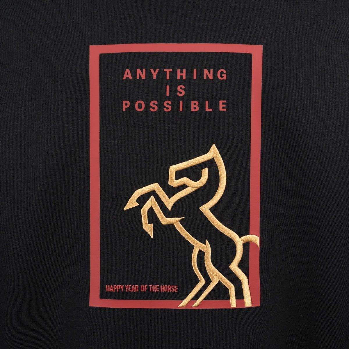 Áo nỉ cổ tròn có mũ Unisex AWDWA49-1V