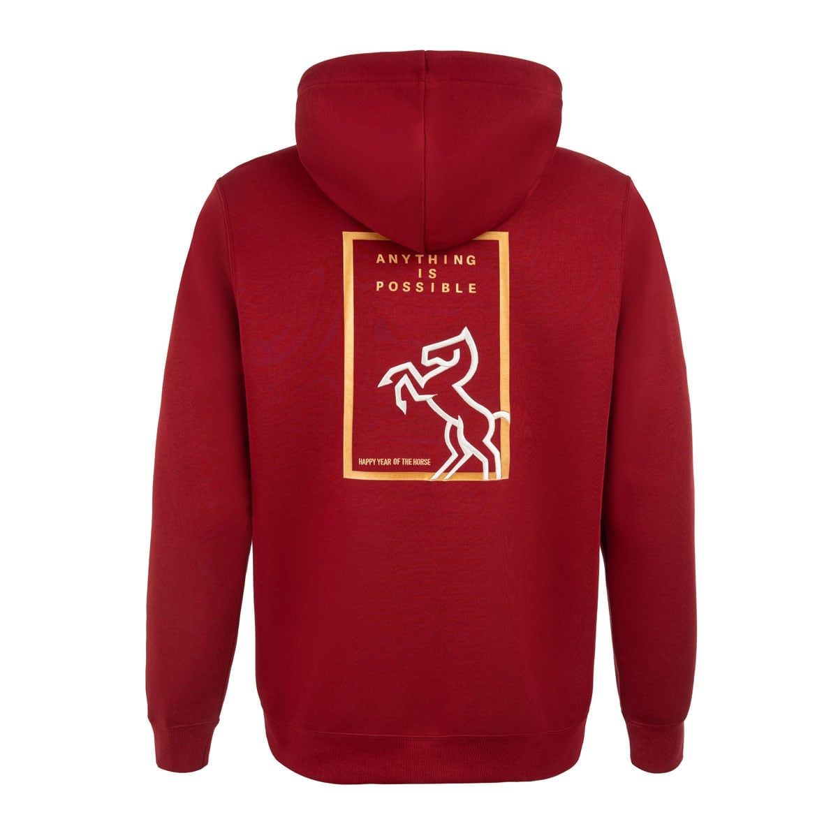 Áo nỉ cổ tròn có mũ Unisex AWDWA49-2V