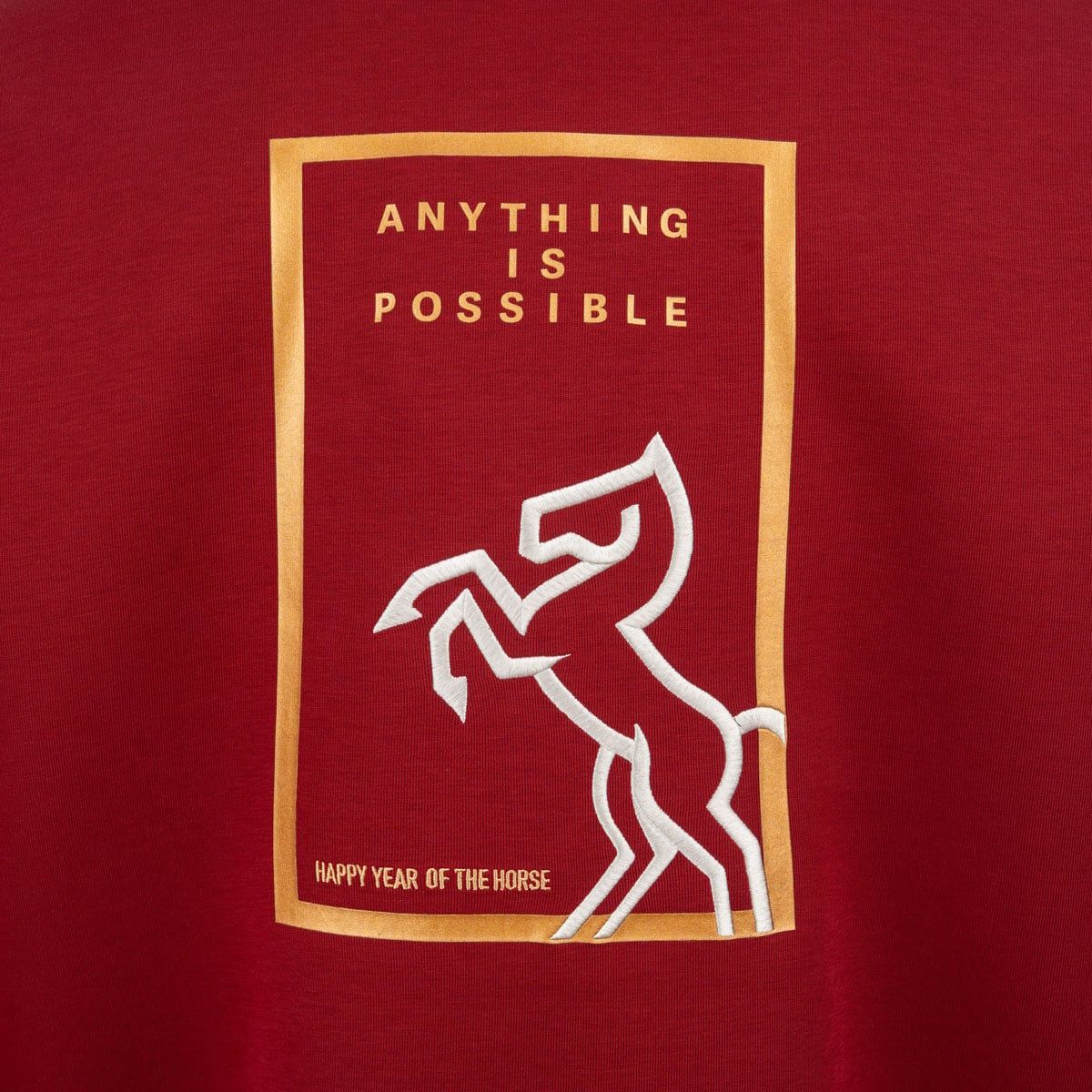 Áo nỉ cổ tròn có mũ Unisex AWDWA49-2V