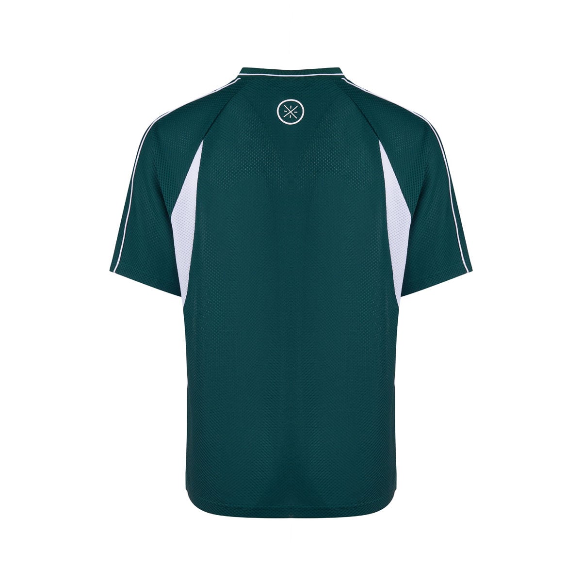  Áo T-shirt Nam ATSW977-1V 
