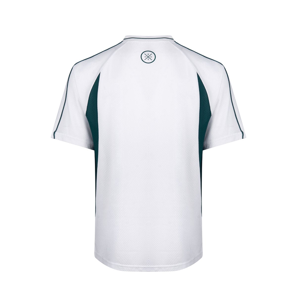  Áo T-shirt Nam ATSW977-2V 