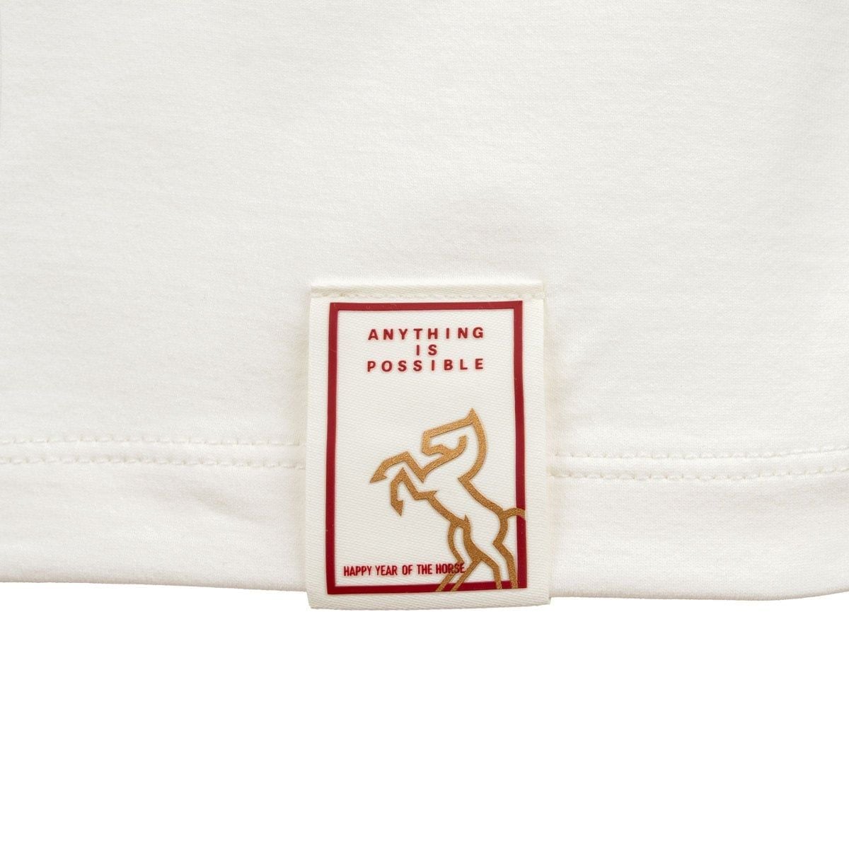 Áo T-shirt Unisex AHSW989-3V