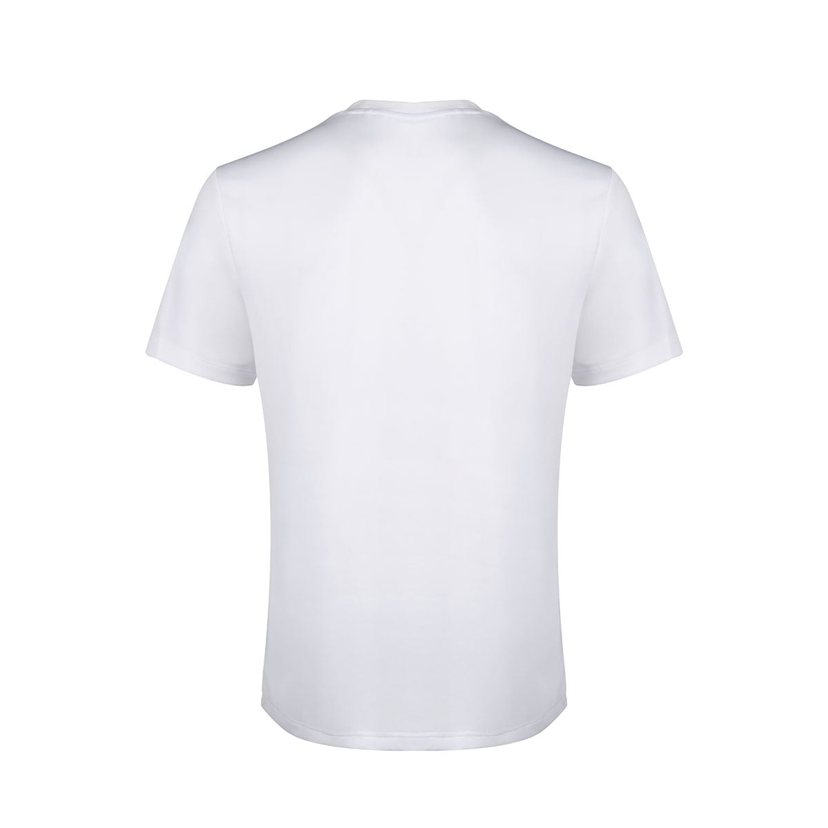  Áo T-shirt Nam YTSW145-1V 