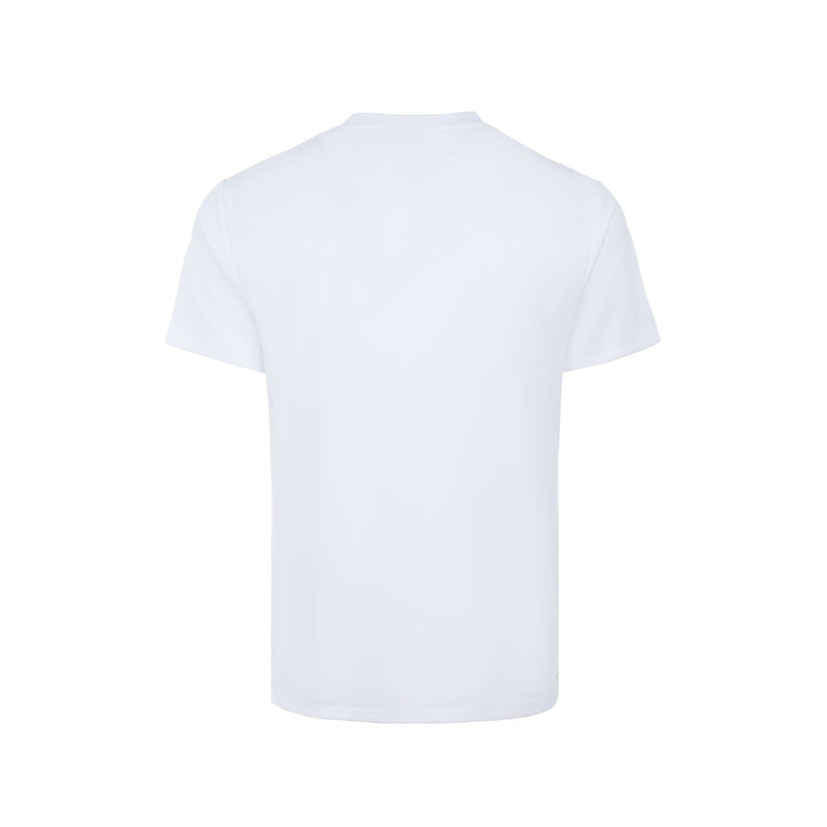 Áo T-shirt Nam P-AAYW063-2V