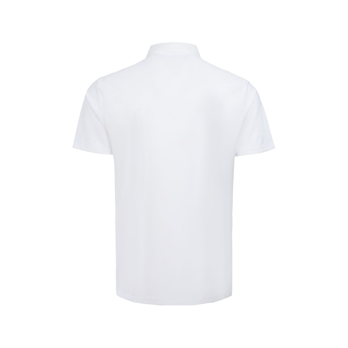  Áo polo Nam APLV283-6V 