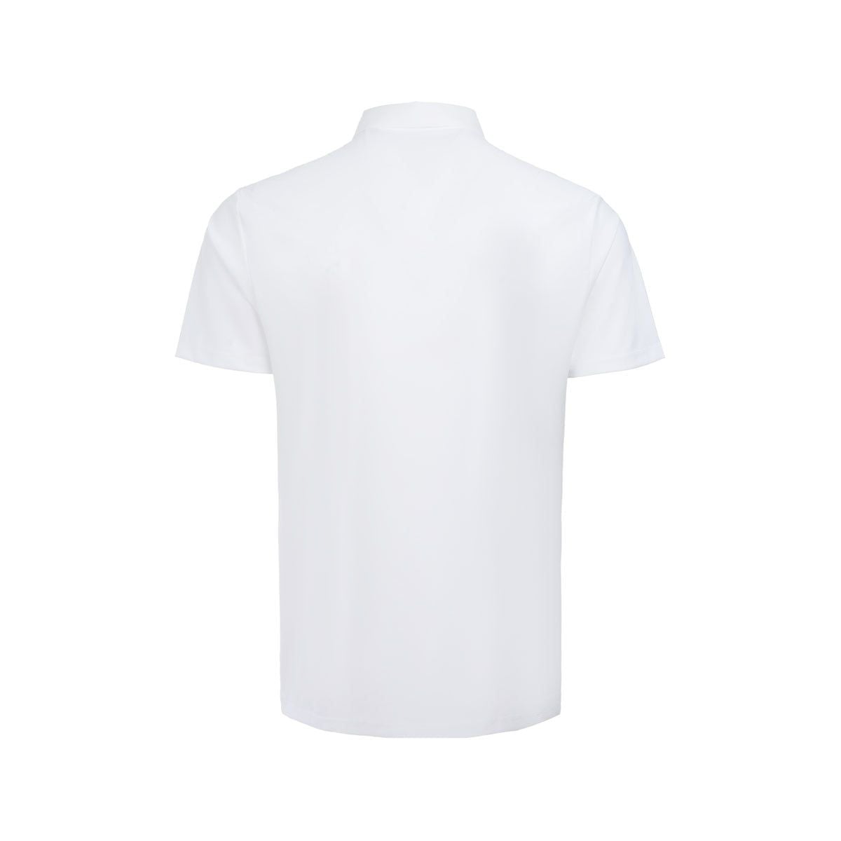 Áo polo Nam APLV283-6V