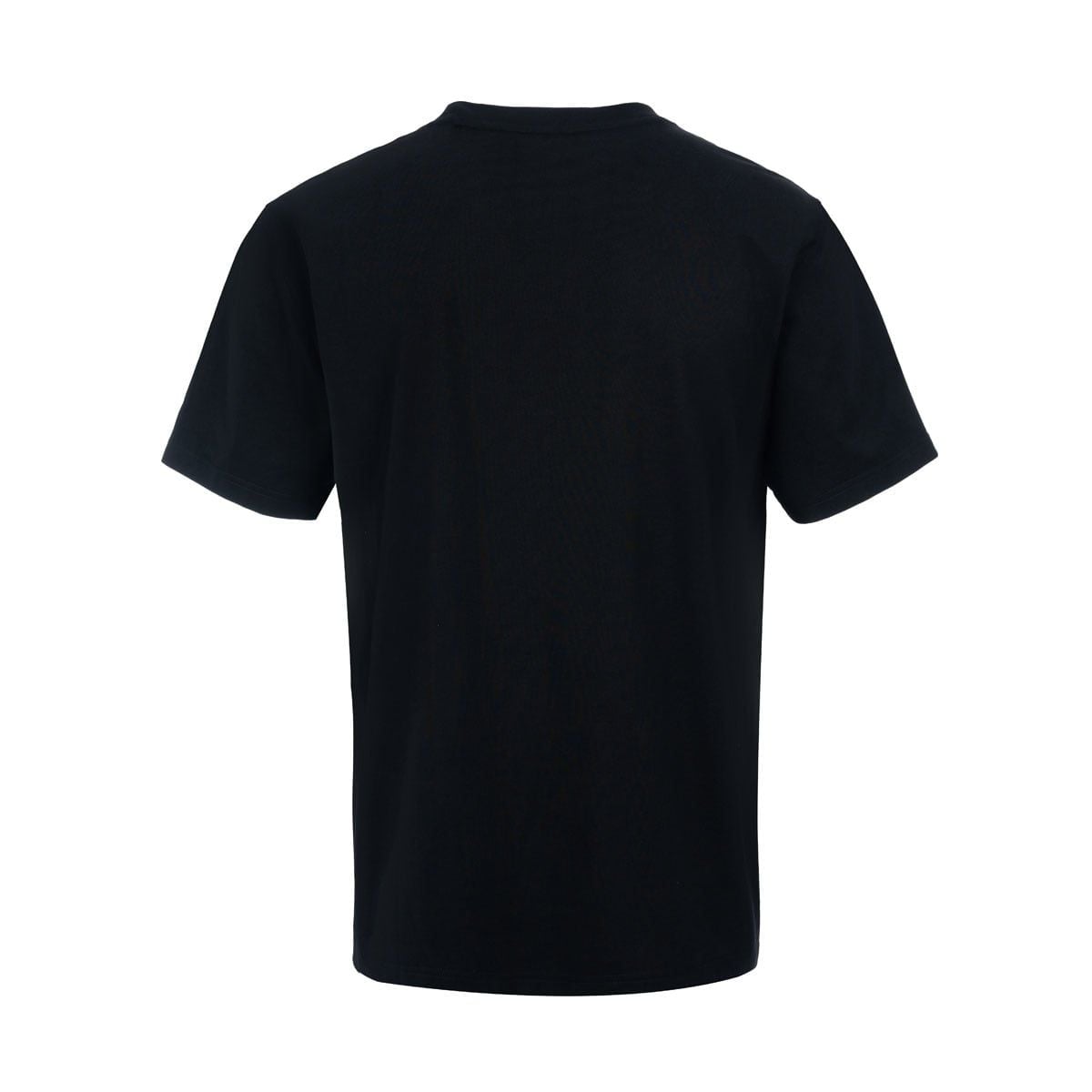 Áo T-shirt Nam AHSW277-3V